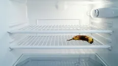 Ein leerer Kühlschrank löst das Problem nicht: Lebensmittel, die wir unnötigerweise ausgeschlossen haben